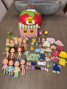Vintage 1979 Strawberry Shortcake 12 Puppen 6 Haustiere Haus Kleidung Paket - Bild 1 von 17
