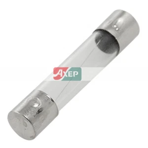 A● 100 Pcs Glass Fuse 6 mm x 30mm 4 Amp 250 Volts Quick Fast Blow - Bild 1 von 4