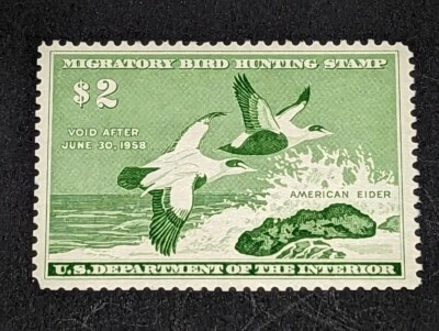 US 2 Dollar Department of Interior-Migratory Bird Hunting Stamp 1957 MNH #RW24 - Image 1 of 2