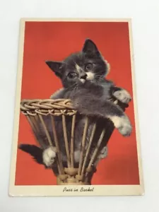 Vintage Postcard Puss In Basket Unposted Cat Kitten Grey Red  - Picture 1 of 2
