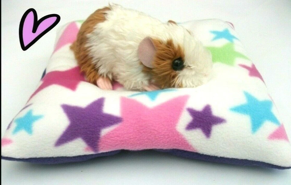**COZY PETS** KISSEN, KISSEN, MEERSCHWEINCHEN BETT SCHOSSAUFLAGE, GEPOLSTERT, KANINCHEN, IGEL