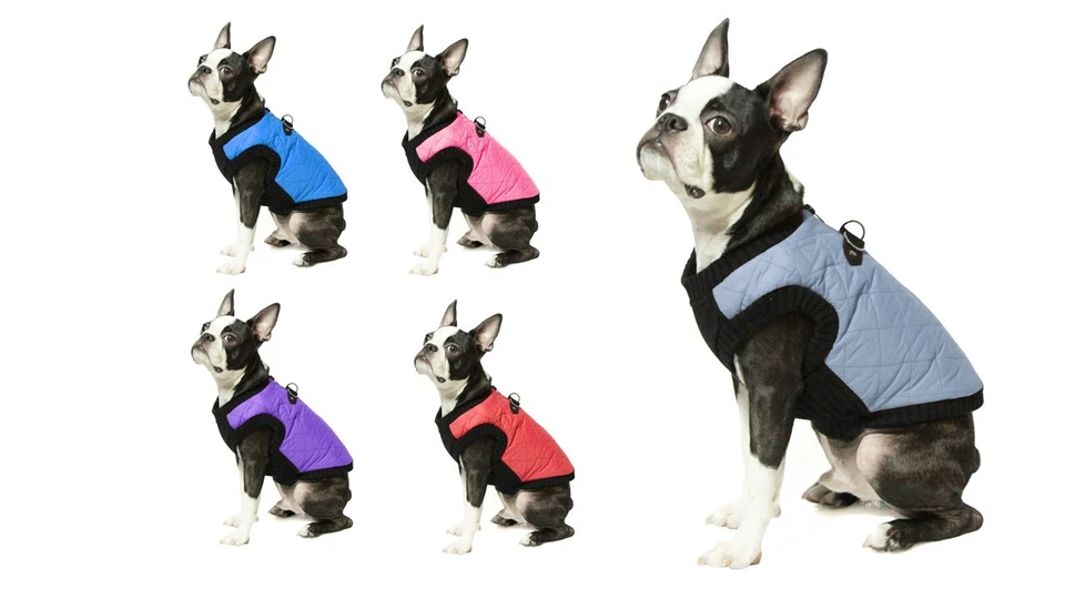 Gooby Fashion Vest Dog Puppy Small Breed M L XL Quilted Sweater Jacket & D-Ring - Image 1 of 4