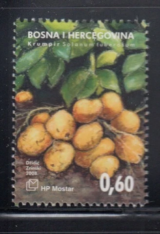 BOSNIA CROAT SECTOR Potatoes MNH stamp Cover