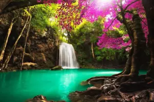 Beautiful Waterfall in Tropical Forest Photo Art Print Poster 24x36 inch - Picture 1 of 7