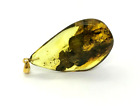 Amber Pendant 2 Insects Fossil Insect Inclusion Silver 925 Gold Plated 6,3g 6226