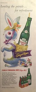 Canadá Dry Ginger Ale Jengibre-Alta Conejo de Pascua Conejo Anuncio Impreso De Colección 1952 - Imagen 1 de 4