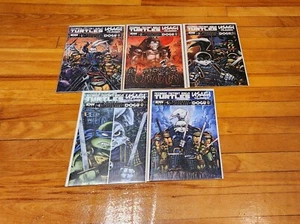 TMNT/Usagi Yojimbo: Wherewhen #1-5 Complete Run Eastman & Laird Varianten [NM+] - Bild 1 von 6