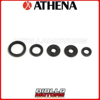 KIT PARAOLI MOTORE ATHENA HUSQVARNA TE 511 510 2011-2014 P400068400015 Foto 1 de 4