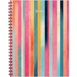 Super Stripe 2026 8.5" x 11" Weekly Monthly Softcover Planner - Picture 1 of 6