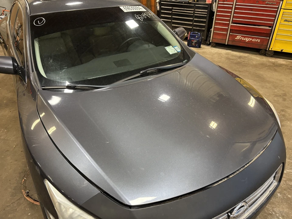 Hood NISSAN MAXIMA 09 10 11 12 13 14 Foto 1 de 1