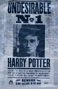 Trends International Wall Poster - Harry Potter - Undesirable - 22.375'' x 34'' - Picture 1 of 2