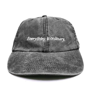 Everything Is Ordinary Washed Embroidered Dad Baseball Cap || Dadcap Slogan Meh - Picture 1 of 16