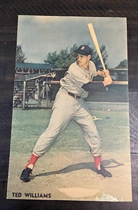 Ted Williams Béisbol Colgante de Pared Cuadro Boston Rojo Calcetines De Colección Mediados de Siglo - Imagen 1 de 7