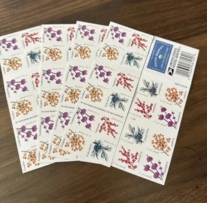 100 estampillas Forever de USPS (5 libros de 20), bayas de invierno - Imagen 1 de 2
