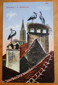 Storchennest, Strassburg FRANKREICH 1.WK Feldpost p/u 1916 - Bild 1 von 2