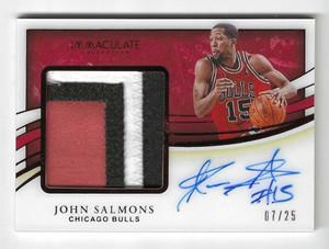 2019-20 Immaculate Collection Patch Autograph Red John Salmons Auto Jersey 7/25