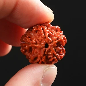 Stylish Natural Bodhi Bracelet Tree Beading Bracelet For Daily Use - Picture 1 of 11