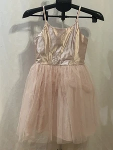 Wild Daisy Ballerina Pink Dress Girls size 10 - Picture 1 of 3