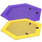 Colorful Butterfly Water Station for Bees Easy Access Long lasting Material