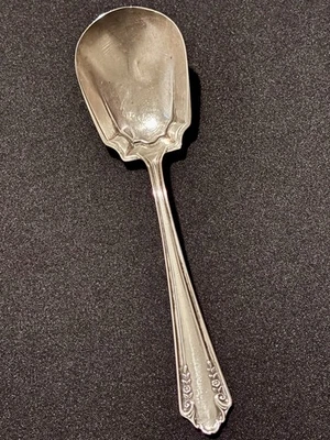 Cuchara Alvin Sterling para servir rosa nupcial Bon Bon • 24,5 g • Sin monograma • 1903 Foto 1 de 4