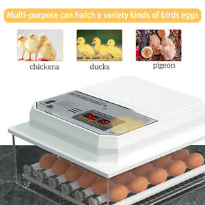 2024 Incubator Automatic 36 Egg Chicken Chick Hatcher Incubators for Hatching