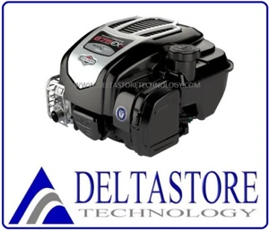 MOTORE BRIGGS & STRATTON 4T 6HP ALBERO VERTICALE 22,2X60mm VOLANO PESANTE - Foto 1 di 9