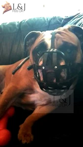 Bozal de cuero para perro para bulldog inglés y otros perros con hocico corto - Imagen 1 de 25