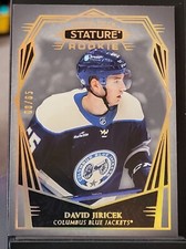 2022-23 Upper Deck Stature David Jiricek Rookie Design Variation #'d 8/65