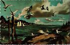 SEAGULLS "GULLS" ALONG THE MAINE COAST BY LAURENCE SISSON  Post Card A11