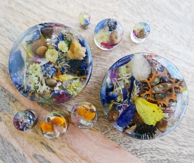 Resin plugs and tunnels Birthday gift 2g 0g gauges with acorn moss lichen 1 pair - Image 1 of 4