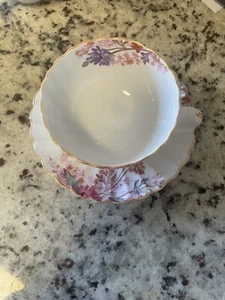 Vintage Spode Copeland's Chelsea Garden Cup and Saucer - Picture 1 of 2