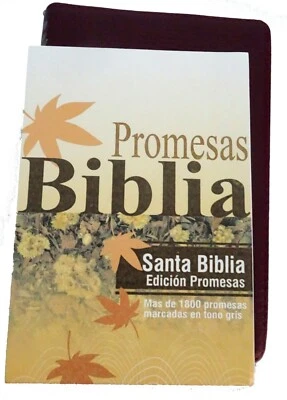 Santa Biblia, forro reforzado, concordancia y mapas. REINA  V. 60 ESPAÑOL - Imagen 1 de 4