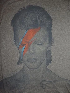 Camiseta David Bowie Aladdin Sane Años 70 Cubierta Álbum Música Rayo Rayo - Imagen 1 de 1