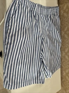 NEW Lands’ End Men’s Size 10 (40) Blue & White Striped Elastic Waist Shorts - Picture 1 of 6