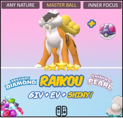 Shiny/non-shiny Raikou 6IV Brilliant Diamond/shining Pearl -  Finland