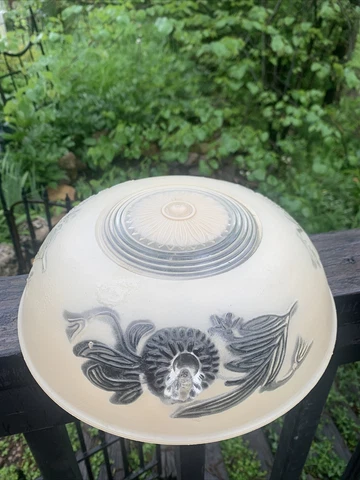 Vintage Antique Art Deco Victorian Floral Hanging Ceiling Light Lamp Shade Cover