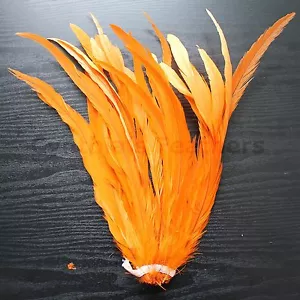 25 Pezzi Piume di Coda COQUE di Gallo Tinte Arancione Lunghe 12-14" per Artigianato, NUOVE - Foto 1 di 2