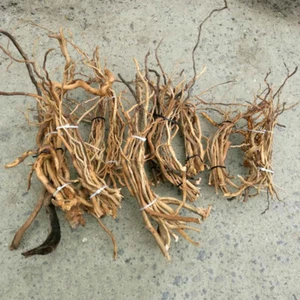 Natural Driftwood Aquarium Root Trunk Tree Fish Tank Landscape Wood Tree Plants - Picture 1 of 9