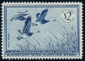 US RW22 $2 1955 Hunting Permit stamp Blue Geese VF NH - Picture 1 of 2