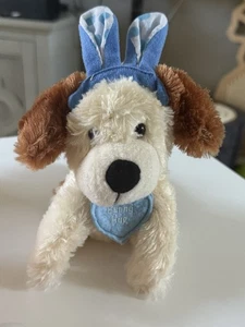 Sound N Light Co Welpe Hund Hase Umarmungsohren Plüschhund Stofftier ohne Ton - Bild 1 von 5