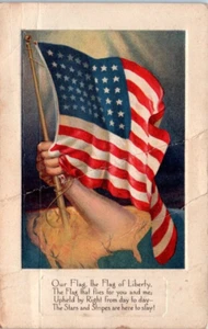 BANDERA DE LA LIBERTAD Bandera Americana arte en relieve - Postal - Imagen 1 de 2