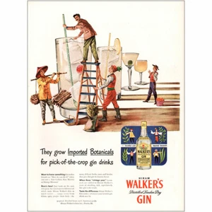 1947 Walkers Gin: Grow Imported Botanicals Vintage Print Ad - Picture 1 of 1