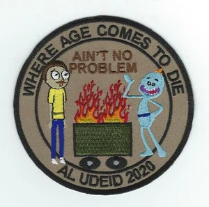 379th EXMS (434TH EMS) ""AIN'T NO PROBLEM) AL UDEID 2020" parche desierto - Imagen 1 de 1