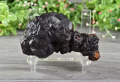 Prophecy Stone Pseudomorph Hematite after Marcasite from Egypt  6.8 cm   # 21409 - Image 1 of 4