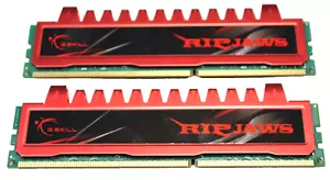 G.SKILL Ripjaws Series 4GB (2 x 2GB) 240-Pin DDR3 SDRAM DDR3 1600 (PC3 12800) - Picture 1 of 8