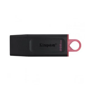 Pén Drive Kingston DTX/256GB - 256GB USB3.2 Datatraveler Exodia - Photo 1/1