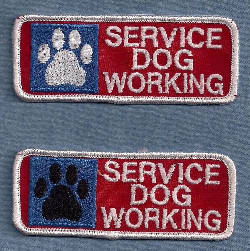 SERVICIO PERRO TRABAJO - PAW PRT servicio perro chaleco parche  Foto 1 de 1