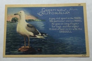 Greetings From California Seagull Poem. Postcard (B3) - Picture 1 of 2