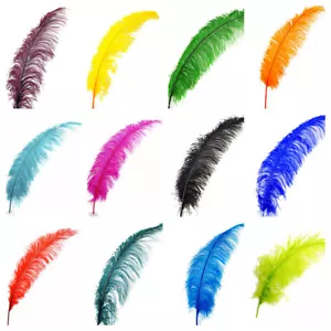 OSTRICH SPADS 20-30" Plume Feathers MANY COLORS; Hats/Halloween/Centerpiece - Picture 1 of 30