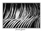 French Spoons Macro Fine Art Black And White Giclee Print